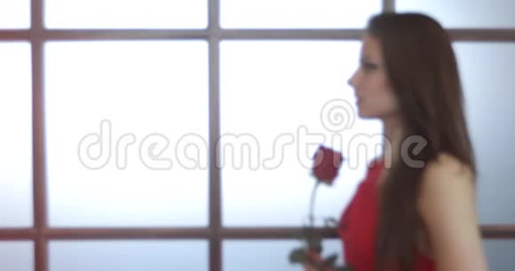 年轻的黑发女孩手里拿着一朵红玫瑰视频的预览图