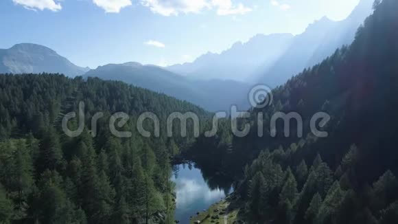 向松树林森林湖泊和山谷前进夏季太阳耀斑欧洲意大利阿尔卑斯山户外视频的预览图