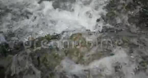 山河在4K近距离射击视频的预览图