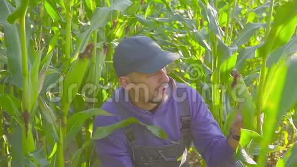 人夹着玉米芯用放大镜检查视频的预览图