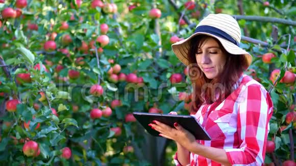 女农或农学家检查苹果的收获在平板上做笔记在农场在花园里晴天视频的预览图