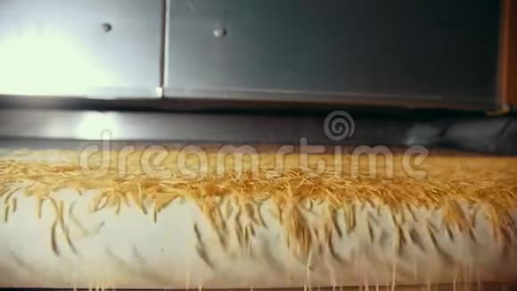意大利面食厂传送带上滚动的通心粉产品的慢速视图视频的预览图