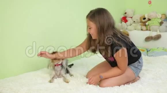 小女孩在玩她的狗视频的预览图