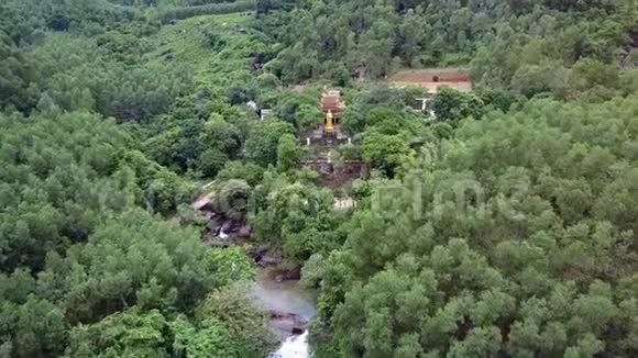 Drone在靠近树道的圣殿展示金佛像视频的预览图