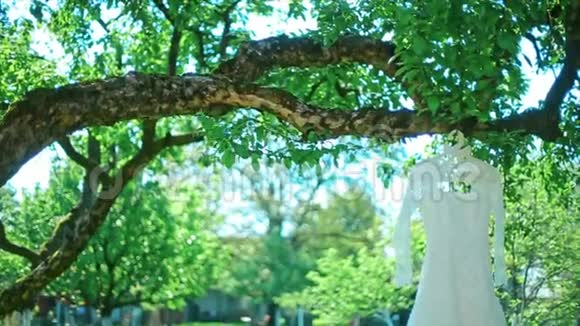 婚礼白裙挂在树上视频的预览图