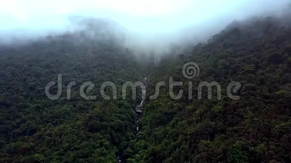 雾天森林峡谷与河流之上的演习视频的预览图
