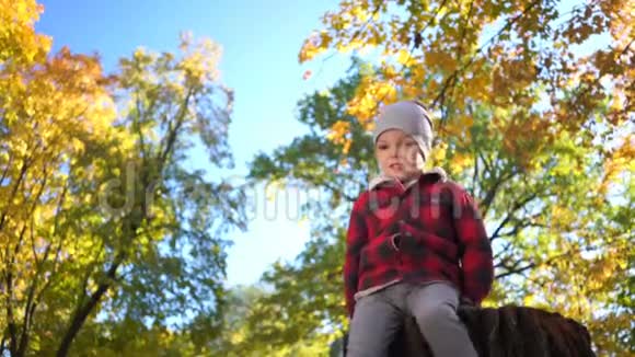 在秋天的公园里小男孩在树桩上玩耍在镜头前挥舞着手视频的预览图