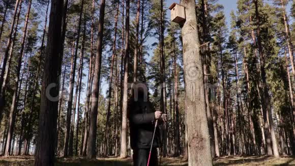 带着登山杖的人在树上的鸟之家附近视频的预览图
