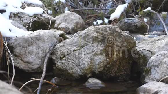 山涧中冬林早春河中的岩石急流美丽的自然背景视频的预览图