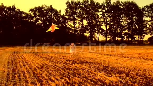 小女孩带着风筝跑步视频的预览图