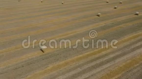 在做干草的时候飞过田野四周的干草堆散落在田野上视频的预览图