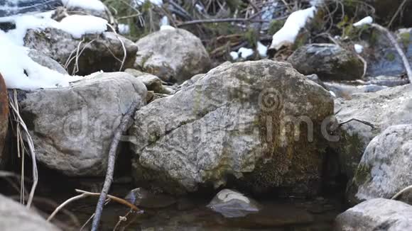 在冬天的森林里雄性的脚在靠近山河的石头上行走年轻人踩着石头踩在大自然上的腿视频的预览图