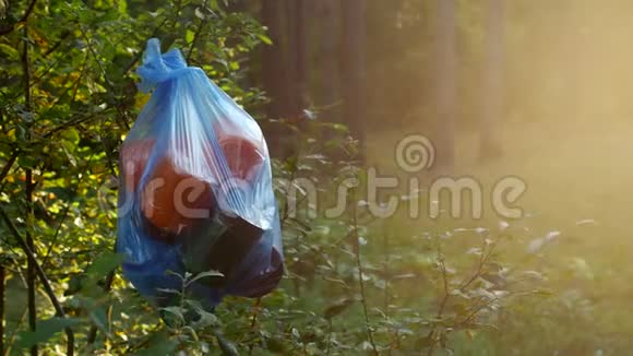 一包塑料垃圾挂在树林里的树枝上特写自然污染的垃圾阳光明媚乱扔垃圾视频的预览图