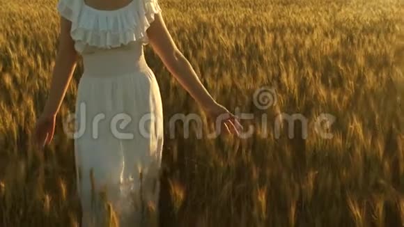 美丽的女孩走过一片成熟的麦田用手触摸谷物的耳朵慢动作一个女人视频的预览图