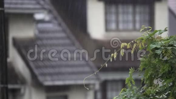 夏天的雨落在农村的房子上雨滴沿着屋顶往下流视频的预览图