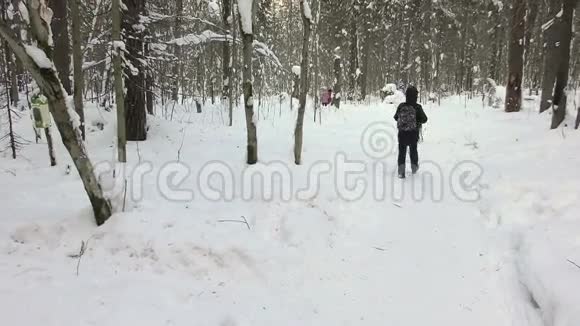 冬天男孩和一只狗在森林小径上散步视频的预览图