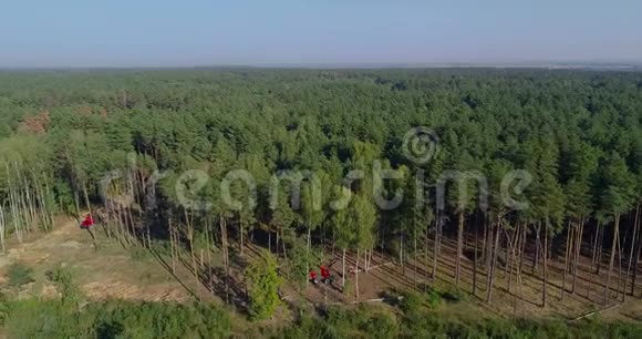 合法砍伐森林恢复森林砍伐面积现代采伐视频的预览图