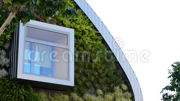 有垂直花园的现代建筑窗户视频的预览图