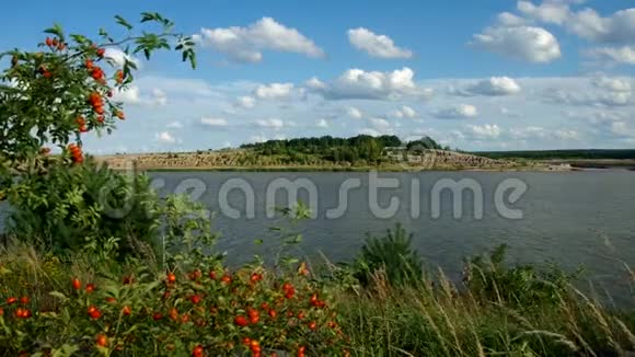 斯拉本多夫湖卢萨蒂亚景观视频的预览图