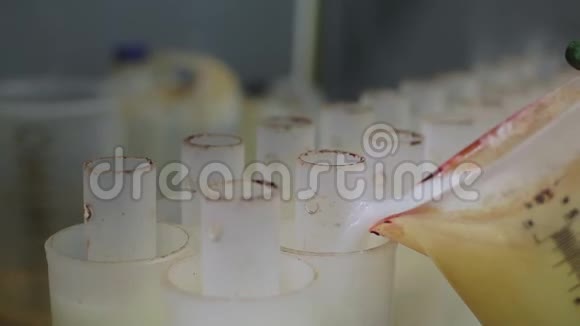 白色塑料滤水器被实验室烧杯装满了液体视频的预览图