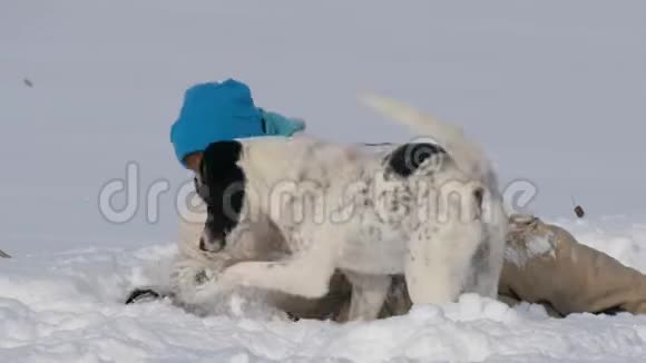男孩少年在雪地里和狗玩得很开心视频的预览图