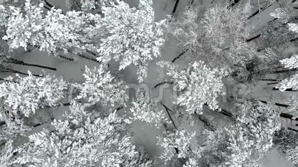 俄罗斯冬季景观空中拍摄视频的预览图