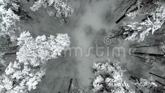俄罗斯冬季景观空中拍摄视频的预览图