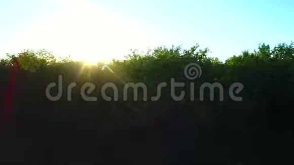 大自然的空中摄影从鸟瞰日落时森林视频的预览图