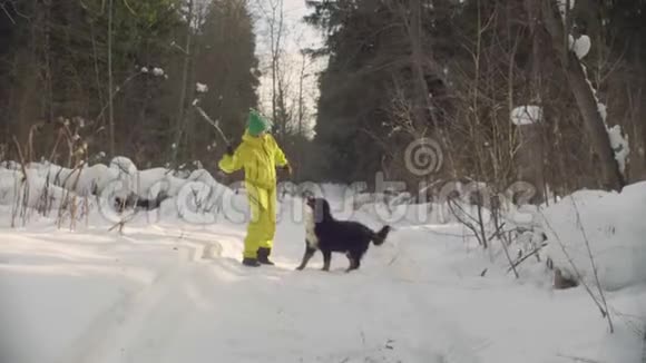 冬天森林里和狗玩耍的女人视频的预览图