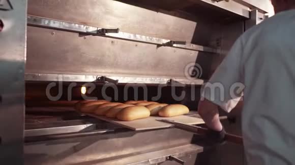 一个穿白色制服的男面包师从刚烤好的面包炉里拿出放在托盘上近距离观看视频的预览图