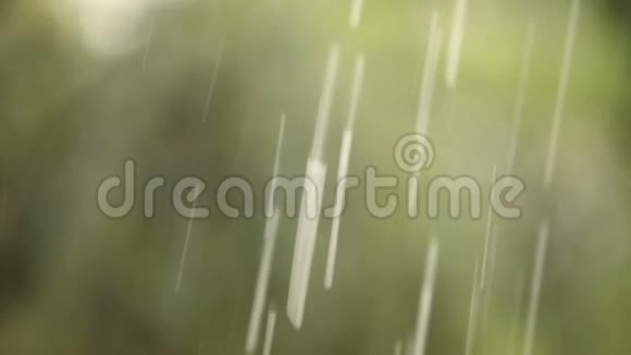 雨点落在树的背景上绿树都模糊了视频的预览图