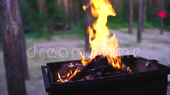 烧烤点燃火焰和锥形燃烧装置中的火视频的预览图