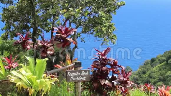 KeopukaRock俯瞰图伊甸园通往美国夏威夷毛伊岛哈纳的道路视频的预览图