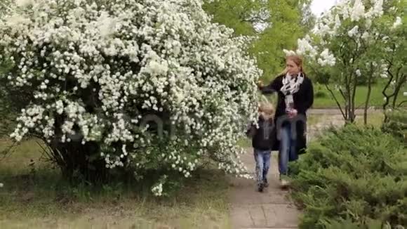 母亲和儿子在春天盛开的公园里散步视频的预览图