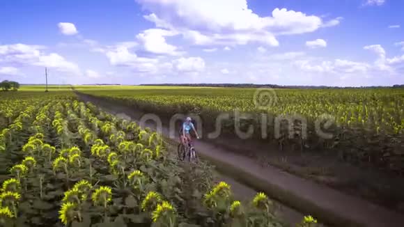 骑自行车骑在盛开的向日葵的田野上视频的预览图