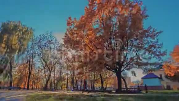 秋天小镇的时间流逝十月的晴天落在城里视频的预览图