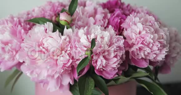 美丽的粉色牡丹花束视频的预览图