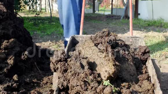 一个人拿着一辆有肥料的花园手推车在花园周围运输使土壤肥沃乡村平房区视频的预览图