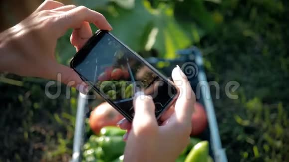 农民妇女在花园里用手机拍照收获蔬菜视频的预览图