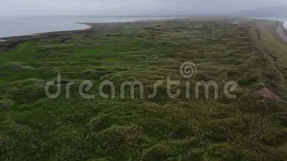 在大西洋的绿草如茵的沙丘上飞行视频的预览图