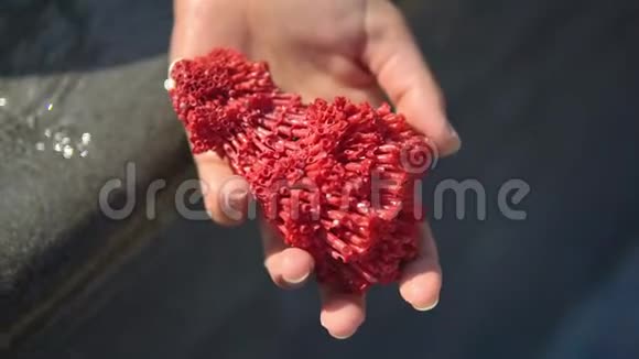 少女秀红珊瑚特写在一只雌性手掌上是一片美丽的异国情调观赏珊瑚视频的预览图