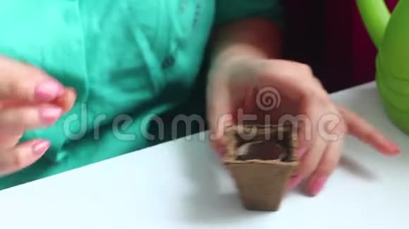 在家里种树苗那个女人把一块泥炭片放进一个泥炭罐里装满了水视频的预览图