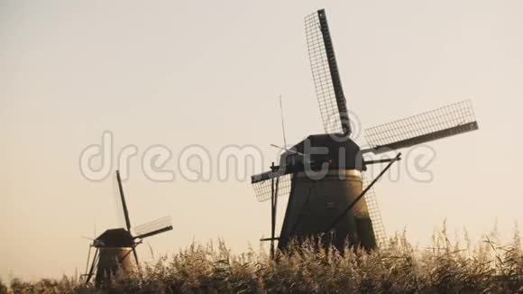 4K两个田园诗般的荷兰乡村风车在一个领域荷兰令人惊叹的宁静与微风和晴朗的天空视频的预览图
