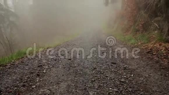 山林中的雾路视频的预览图