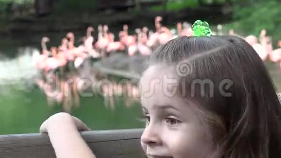 动物园里的长发儿童视频的预览图