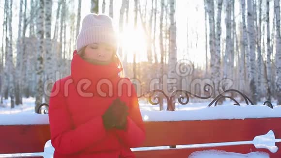 年轻女子坐在画城公园的长凳上冬天有桦树视频的预览图