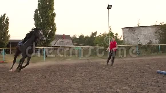 女骑手在赛马场训练一匹马视频的预览图