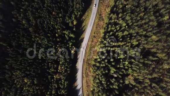 空中景色飞过沥青路两边生长着茂密的树林绿树成荫视频的预览图