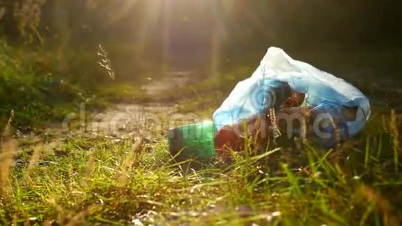 一包塑料垃圾在森林道路上污染了自然垃圾和自然阳光视频的预览图