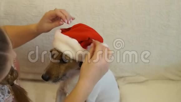 一个女孩戴上狗帽过圣诞节2018狗年视频的预览图